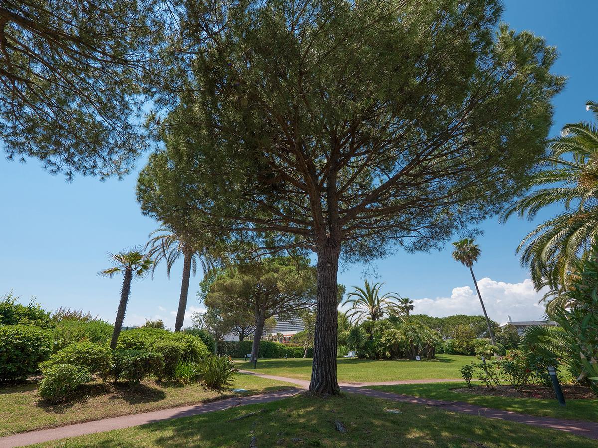 Hotel Bahia Villeneuve-Loubet Exteriér fotografie
