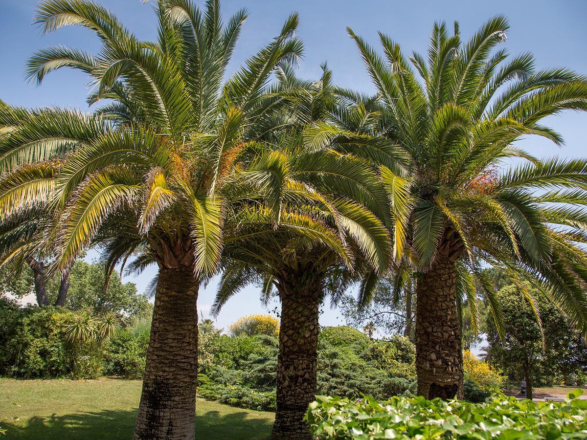 Hotel Bahia Villeneuve-Loubet Exteriér fotografie