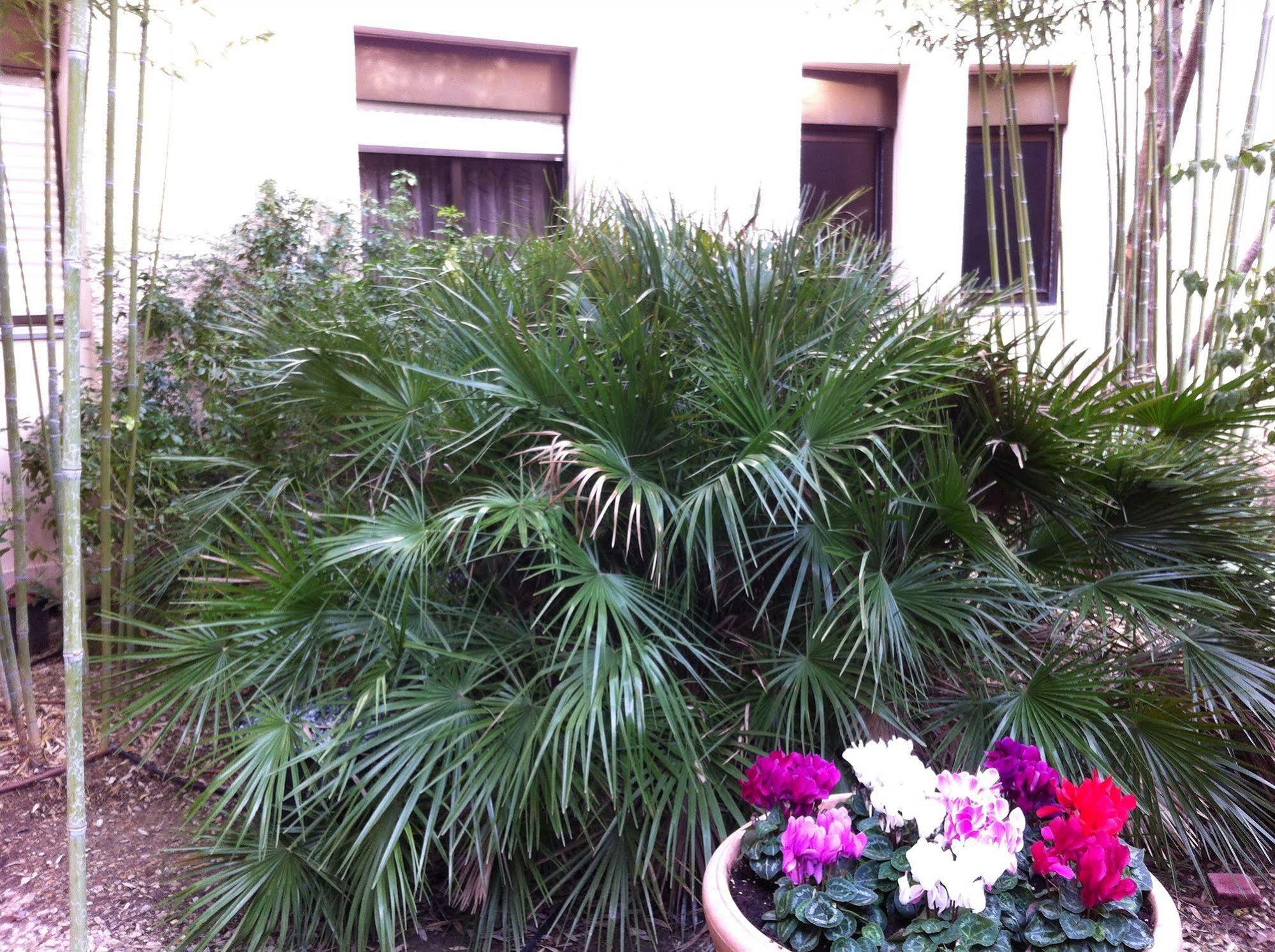 Hotel Bahia Villeneuve-Loubet Exteriér fotografie